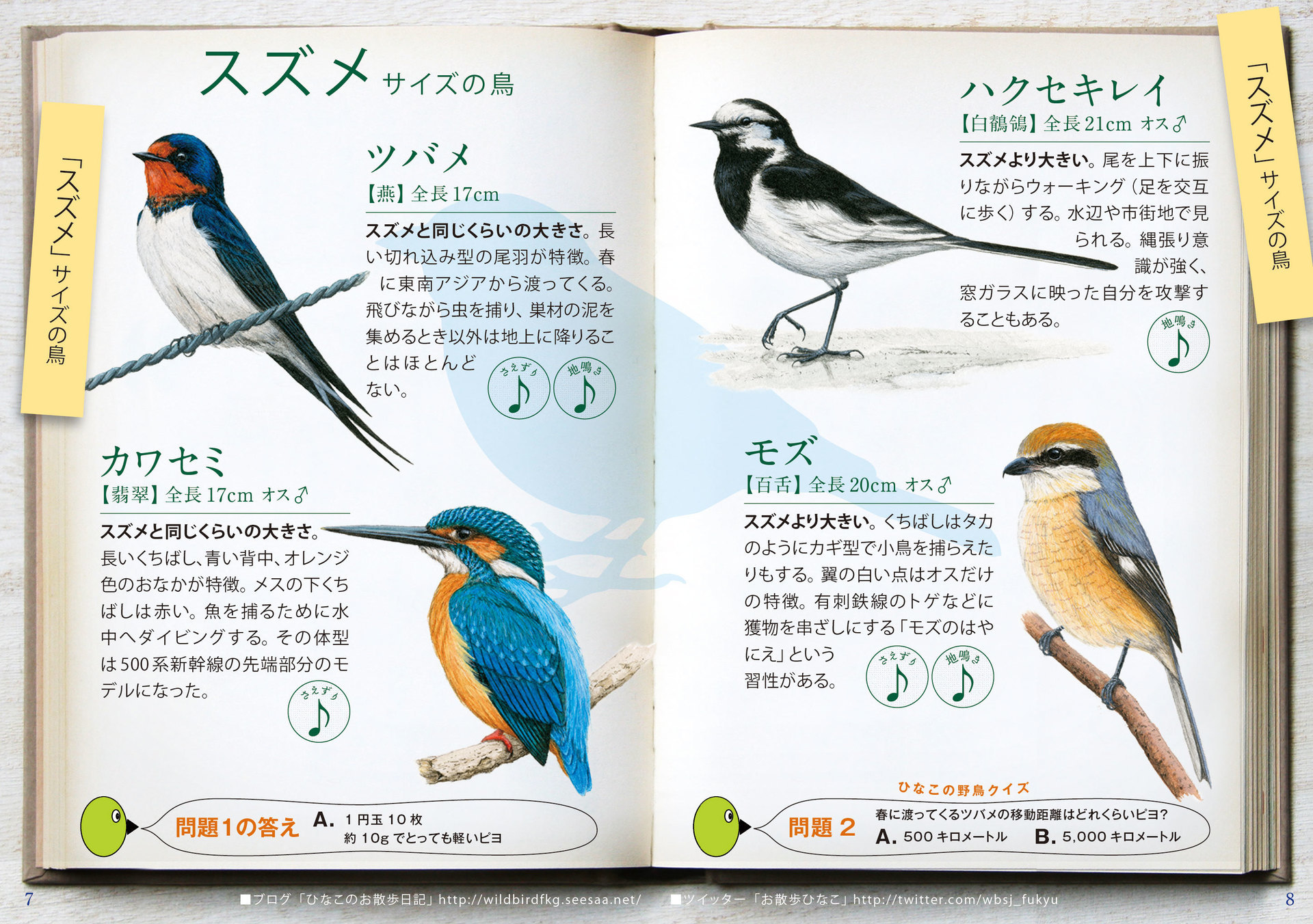 新小冊子 おさんぽ鳥図鑑 をプレゼントします ひなこのお散歩日記